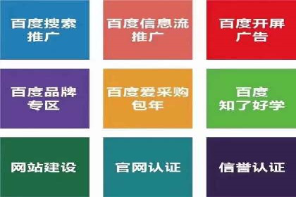 成功案例分享：SEM推广策略的制定与执行