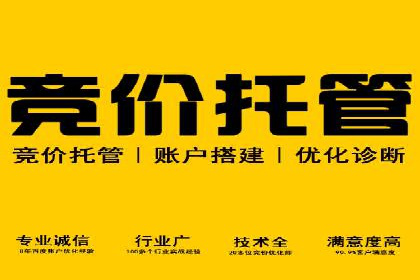 某知名企业竞价推广策略全解析